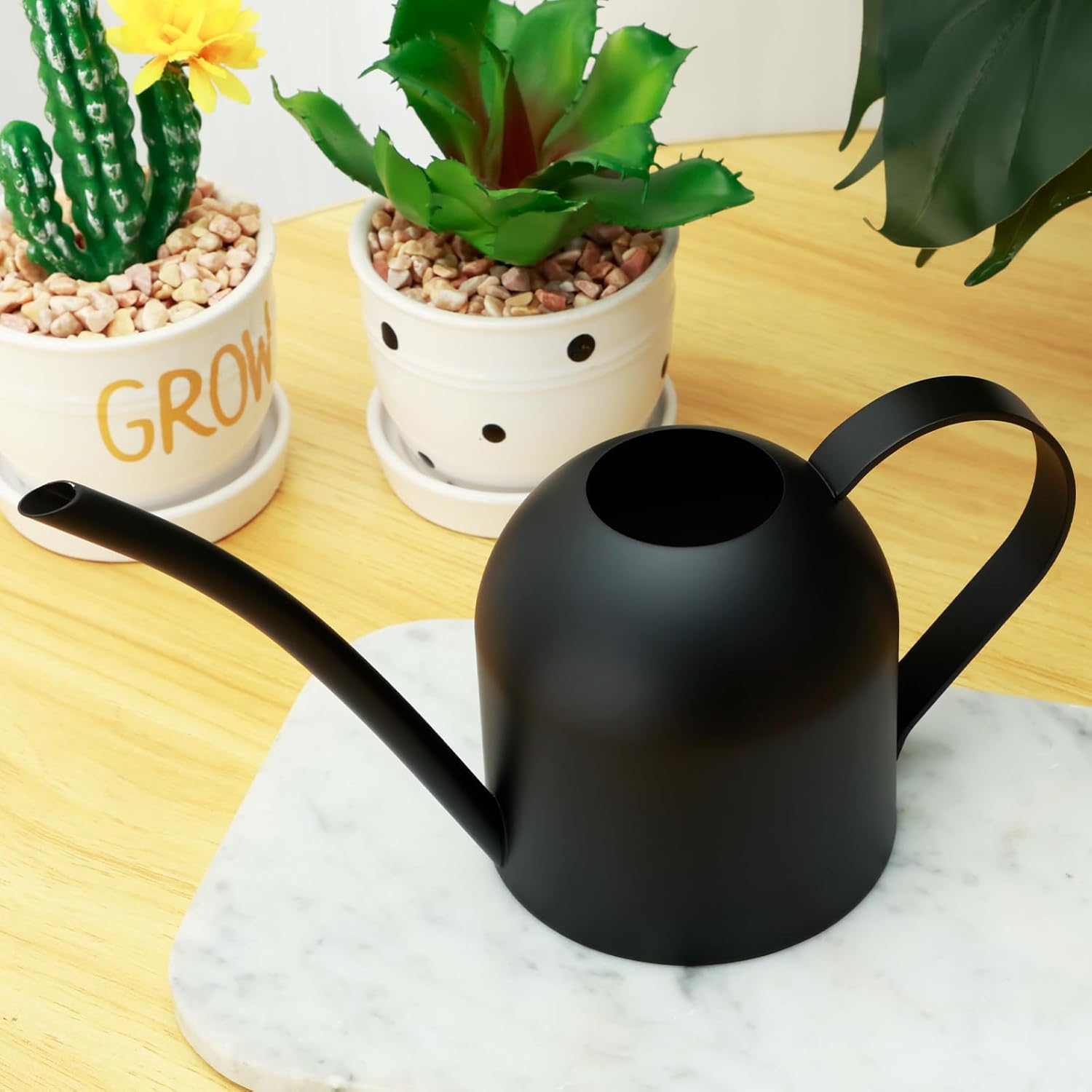 Matte Black Designer Metal Watering Jug for Indoor Succulents and Home Styling