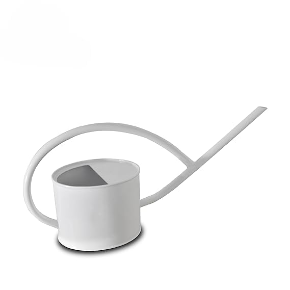 Contemporary White Metal Designer Watering Can for Succulents and Office Desk