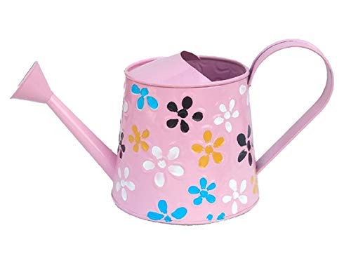 Hand Painted Floral Design Pink Metal Watering Can with Shower Head for Gifting
